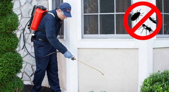 Akyaka Böcek ve Haşere İlaçlama böcek ilaçlama ve haşere kontrolü — ilaclama-tr.com